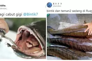 12 Cuitan lucu pakai ikan gabus ini bikin cengar-cengir sendiri