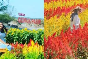 16 Wisata bunga terindah di Jogja dan Jawa Tengah
