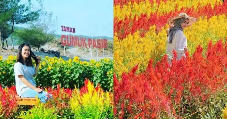 16 Wisata bunga terindah di Jogja dan Jawa Tengah