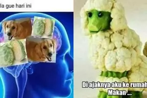 10 Meme lucu pakai sayur kol ini bikin nyengir kuda