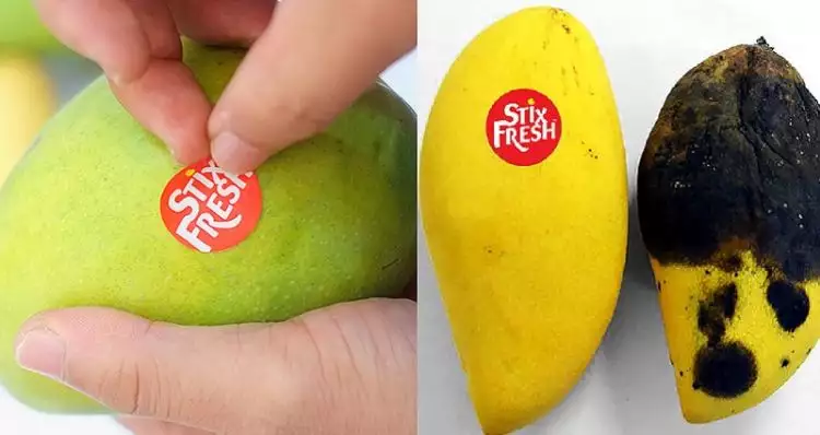 Ajaib, cukup ditempel stiker ini buah bisa awet & tetap segar
