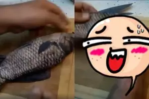 Ending cara mengeluarkan isi perut ikan ini bikin geleng kepala