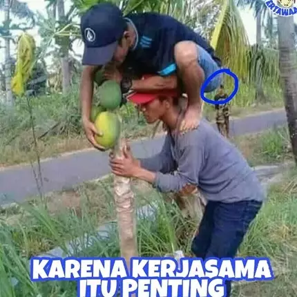 12 Meme lucu pentingnya kerja sama ini bikin nyengir kuda