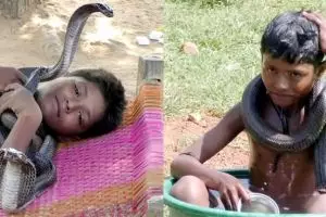 3 Mitos tentang ular ini salah kaprah menurut Panji Petualang