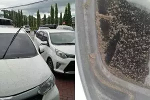 5 Potret terkini erupsi gunung Anak Krakatau yang terus aktif 