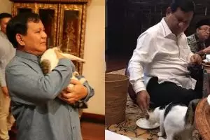 7 Momen Prabowo main bareng kucing kesayangannya