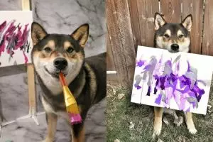 10 Lukisan anjing ini jadi karya seni, harga termahal Rp 72 juta