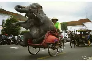 10 Foto editan gajah naik kendaraan ini bikin ketawa mules