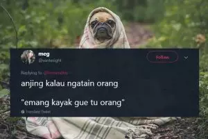 11 Imajinasi kalau hewan bisa mengeluh, jadinya kocak