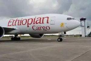 TNI AU paksa Ethiopian Air mendarat di Batam, ini penyebabnya