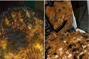 11 Foto masakan gagal ini dijamin bikin kamu nggak jadi laper