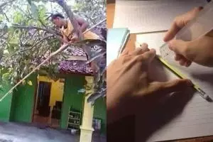 15 Foto lucu aktivitas terbalik ini absurd abis