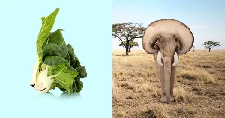 10 Ilustrasi sayuran menyerupai hewan, hasilnya mengagumkan