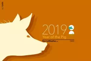 Tahun baru Imlek, ini peruntungan asmara 12 shio di tahun babi