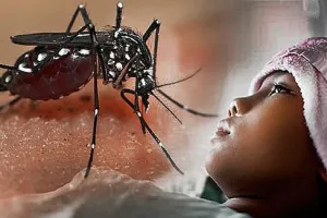 Musim demam berdarah, 7 makanan ini terbukti menaikkan trombosit