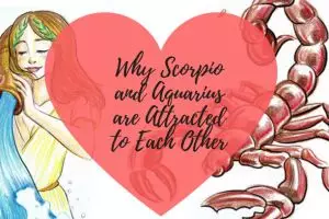 Intip tingkat kecocokan asmara Aquarius dengan 12 zodiak