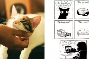 12 Ilustrasi kebiasaan manusia bareng hewan peliharaannya, kocak