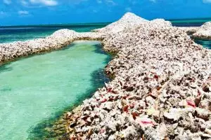 Pulau ini terbuat dari jutaan cangkang keong, ini 10 potretnya