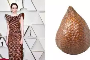 9 Cocoklogi busana Emma Stone di Oscar 2019, ada mirip salak