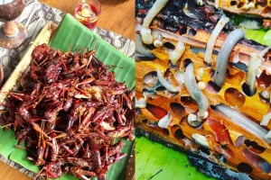 10 Makanan ekstrem khas Indonesia yang jarang diketahui