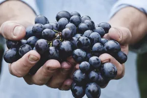 6 Buah yang ada di Alquran & manfaatnya untuk kesehatan