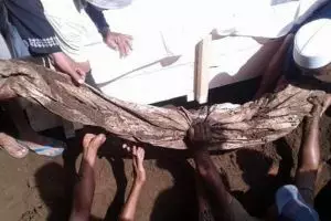 Dimakamkan 31 tahun lalu, jasad kiai ini masih utuh