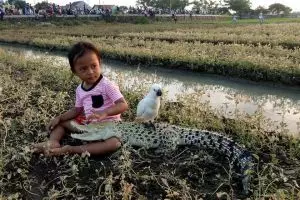 8 Aksi ekstrem gadis kecil mandikan hingga tidur dengan buaya