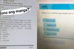 12 Kesalahan dalam soal ujian ini bikin siswa auto bingung