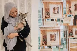 8 Penampakan kandang kucing Rachel Vennya ini keren abis