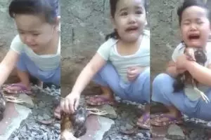 6 Kisah sedih anak menangis karena ayam mati, bikin ikut terharu