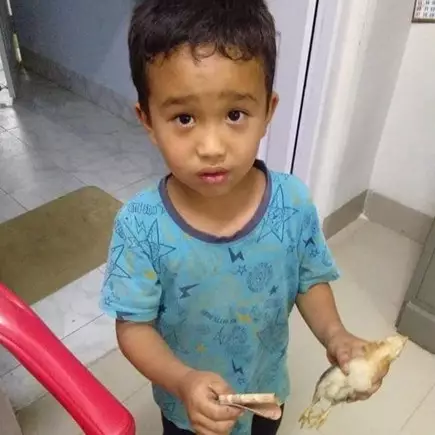 Ini nasib ayam yang dibawa bocah ke rumah sakit karena ditabrak