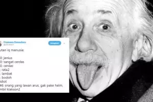 10 Cuitan lucu tingkatan IQ manusia ini bikin senyum nyengir