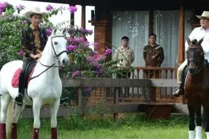 Prabowo dikabarkan akan naik kuda ke TPS