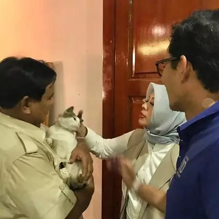 Mengenal Bobby, kucing Prabowo yang dibawa jenguk Sandiaga