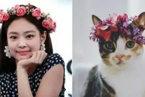 8 Cocoklogi Jennie Blackpink dengan kucing ini bikin gemas