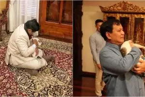 Selain kucing, Prabowo juga bisa 'ngobrol' dengan hewan-hewan ini