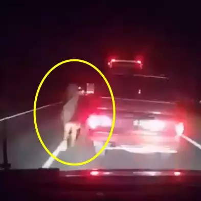 Penampakan sosok misterius berdiri di tengah Tol Cipali, serem