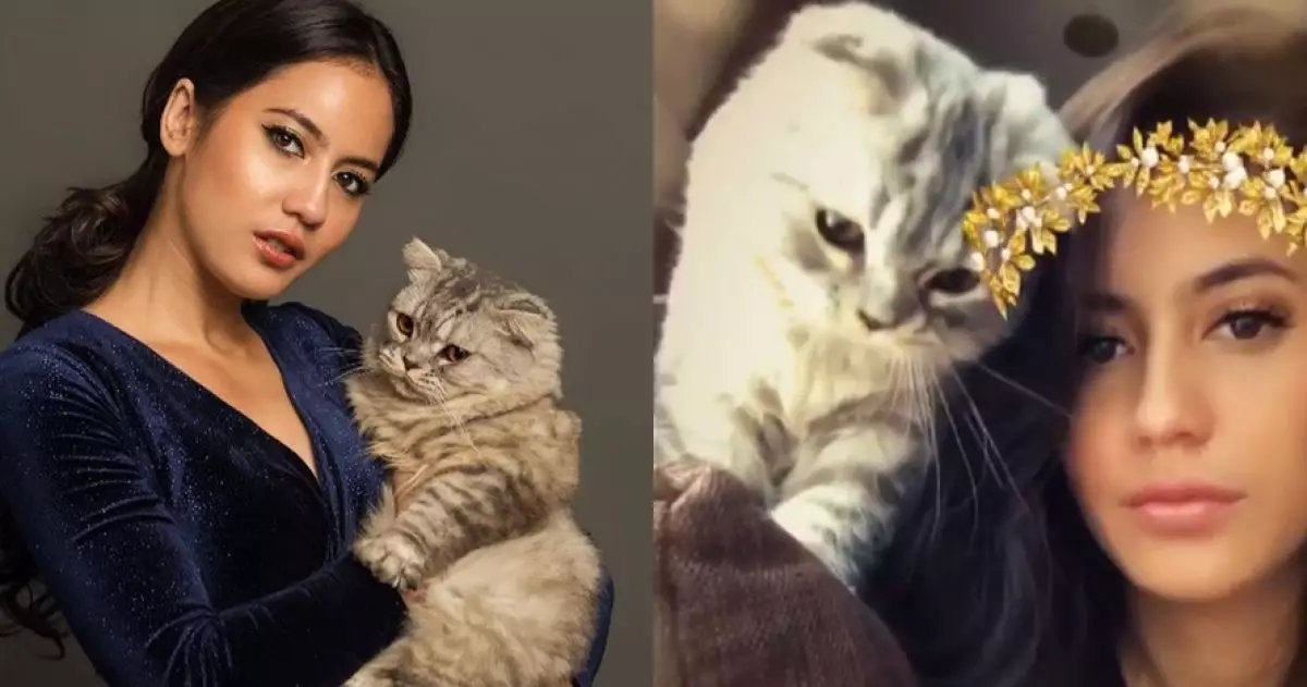 10 Potret Pevita Pearce bareng kucing kesayangannya, bikin gemas!