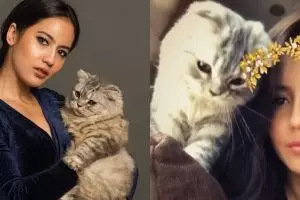 10 Potret Pevita Pearce bareng kucing kesayangannya, bikin gemas!