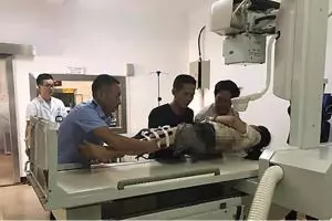 Turis ini ditendang gajah saat kencing sembarangan di hutan konservasi