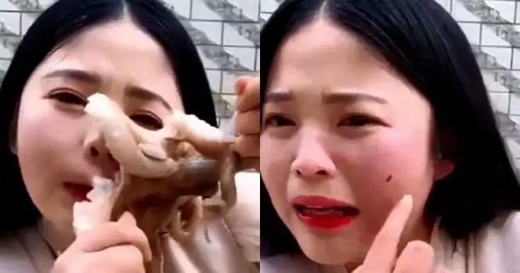 Gurita serang wajah wanita yang ingin memakannya hingga terluka