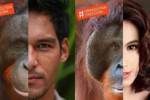 Kisah di balik foto seleb dan orangutan ini bikin salut