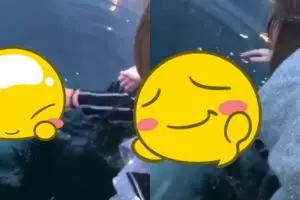 HP cewek ini jatuh ke laut, dikembalikan oleh sosok tak terduga