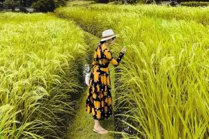 Posting foto liburan di Bali, caption Syahrini jadi sorotan