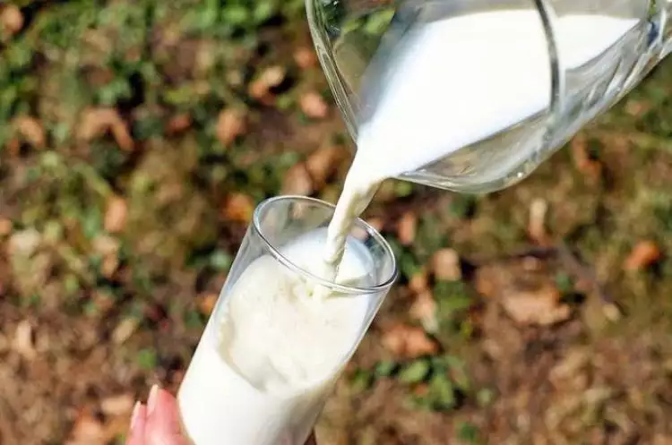 5 mitos dan fakta konsumsi susu, bikin gemuk?