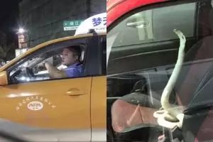 15 Potret absurd di jalan raya ini bikin heran