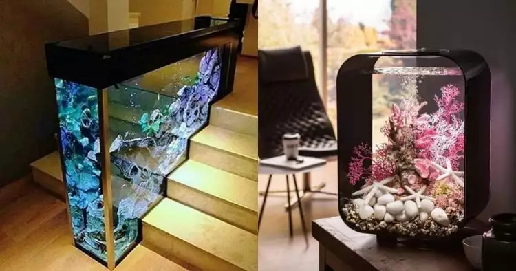 13 Desain akuarium untuk mempercantik ruangan, pengusir stres