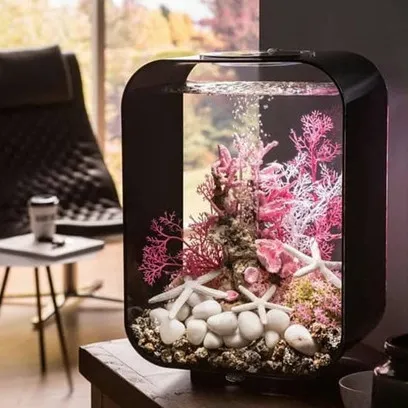 13 Desain akuarium untuk mempercantik ruangan, pengusir stres