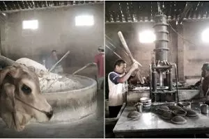 Mi lethek Bantul bertahan sejak 1940 di tengah gempuran mi instan