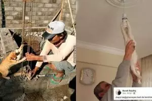 10 Potret lucu kerjasama kucing dan manusia ini bikin ngakak